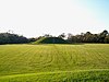 Emerald Mound site (22AD504)