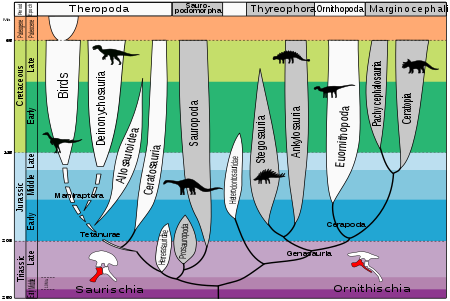 Dinozorların Evrimsel Soyağaçları