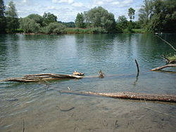 Flachsee Switzerland.jpg