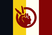 Флаг Движения американских индейцев V2.svg