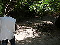 Das Heilige Krokodilbecken von Kachikally, Bakau