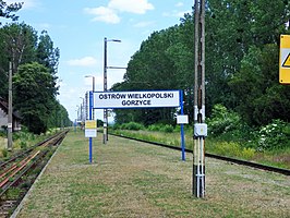 Station Ostrów Wielkopolski Gorzyce