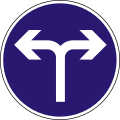 D-10 Vorgeschriebene Fahrtrichtung – rechts oder links