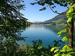 Lake Ägeri (Ägerisee) at Morgarten.jpg