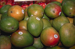 Mangifera