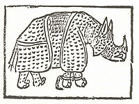 Первое известное изображение носорога[комм. 1]