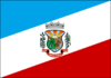 Flag of Novo Xingu