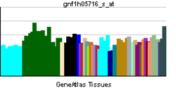 PBB GE SYT3-gnf1h05716 s ĉe tn.png