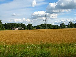 View from the road from/to Michałowo; behind trees: Kazimierowo village