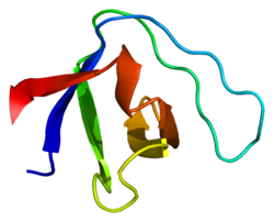 Protein SPTAN1 PDB 1aey.png