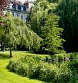 Public garden in Tours, France.