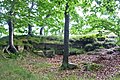 Die Reste der Burgruine auf dem Molkenberg