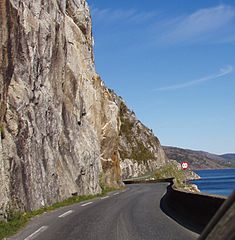 The road along Vefsnfjord