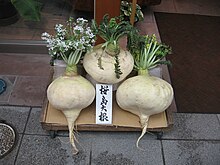 Сакурадзима daikon.jpg