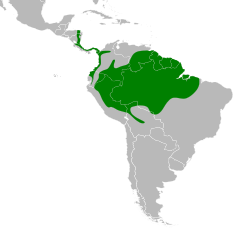 Distribución geográfica del pepitero pizarroso.