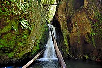 Salto do Cagarrão