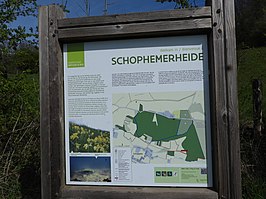 Schoppemerheide