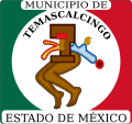 Temascalcingo