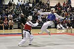 Miniatura per Taekwondo