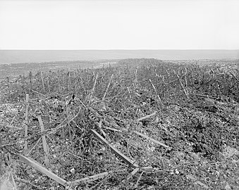 La Ligne Hindenburg à Héninel, champs de barbelés infranchissables.