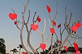 Boom versierd voor Valentijnsdag, San Diego