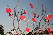 Decoracion di Dia di San Valentin na San Diego