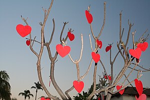 Tree decorated for Valentine's Day in San Dieg...