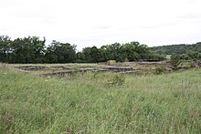 Ruines au milieu d'herbes folles