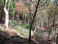 野草の保護柵(大原百井町)