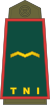 11-TNI Army-WO.svg