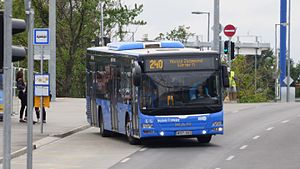 240-es busz