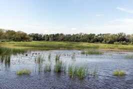 Santa Ana National Wildlife Refuge