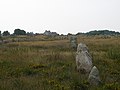 Six menhirs de l'enceinte du Ménec