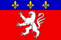 Bannière armoriée de Lyon