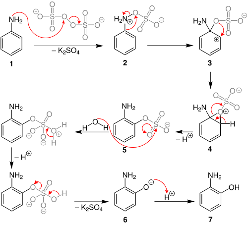 The mechanism of the Boyland-Sims oxidation