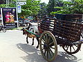 Bullock cart at Tangalle