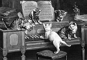 Gravure montrant des chats pianistes