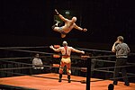 プロレスのサムネイル