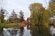 View of millpond upstream of weir, looking toward the Mill building. The Mill building is largely obscured by a very pale yellow-green weeping willow on the right. A small clump of bulrushes and two spindly conifers on the left frame the mill cottage where the restaurant is. The water is placid, and as flat as the proverbial mill-pond. The trees and the building are reflected perfectly in the water, as is the grey and featureless sky.