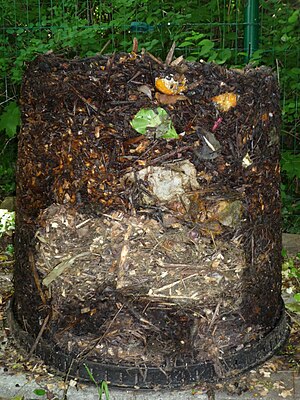 Compost from Compost Bin