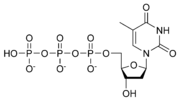 Miniatura para Timidina trifosfato