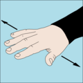Bliv på denne dybde: Flad hånd med håndfladen ned og fingre spredt bevægede sig langsomt fra side til side vandret et par gange.
