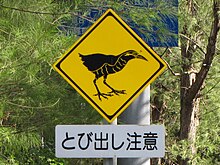 黃底黑圖菱形標示牌，上面畫有山原秧雞的圖像警告用路人。