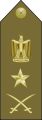 Lieutenant general -فريق (Exèrcit Egipci)