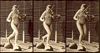 Eadweard Muybridge: Woman walking with fishing pole (detail) Female nude motion study by Eadweard Muybridge.jpg
