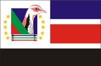 Флаг РЕНАМО (3-я версия) .png
