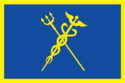 Flag of Strogino