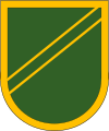 –US Army Forces Command, 553rd Military Police Company –101st Airborne Division, 101st Military Police Company