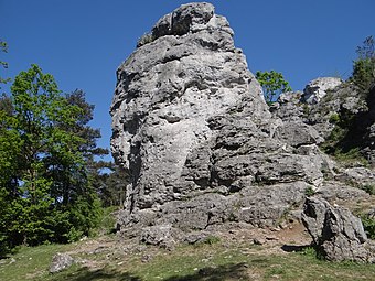 Młynarz od południa