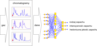 Schemat ideowy systemu GC-NN Sieć neuronowa jest stosowana do określania podobieństwa chromatogramu lub kilku chromatogramów próbki (np. równocześnie rejestrowanych w chromatografie wielokolumnowym i wielodetektorowym) do odpowiednich chromatogramów wzorców zapachu.